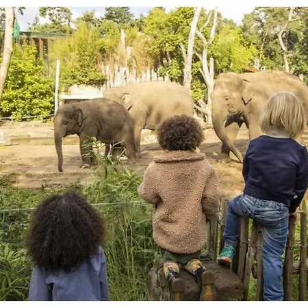 Grijze Veen 8-person *