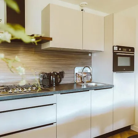 Grijze Veen 8-person Resort Voorthuizen