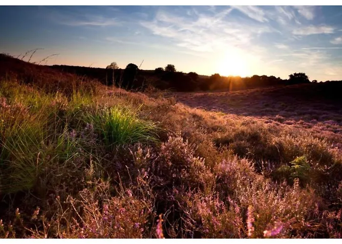Rezort Grijze Veen 8-person Voorthuizen