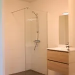 Semesteranläggning (resort) Grijze Veen 8-person Voorthuizen