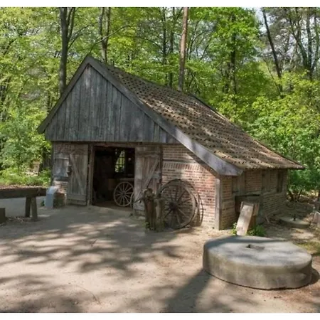 Grijze Veen 8-person *