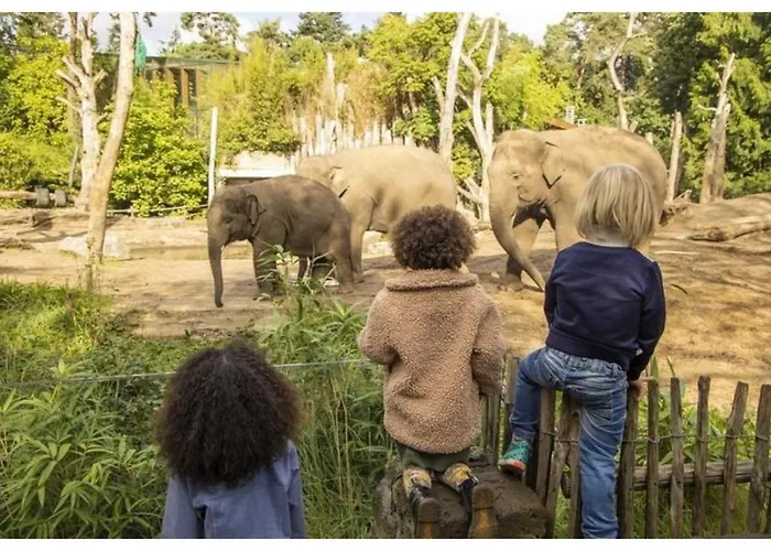 Grijze Veen 8-person *