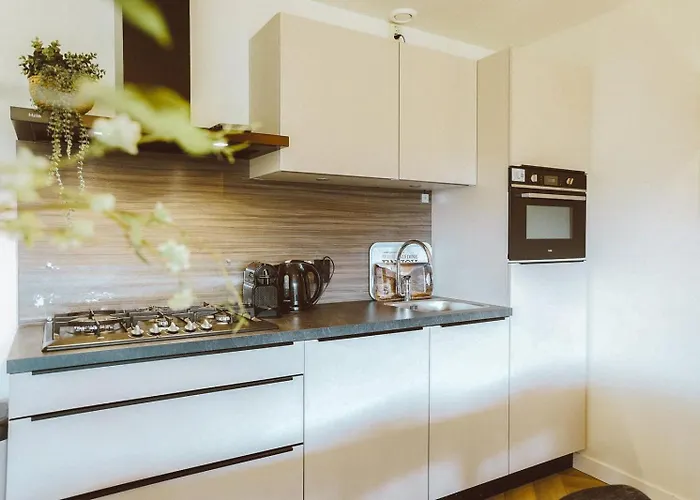 Grijze Veen 8-person Ośrodek wypoczynkowy Voorthuizen